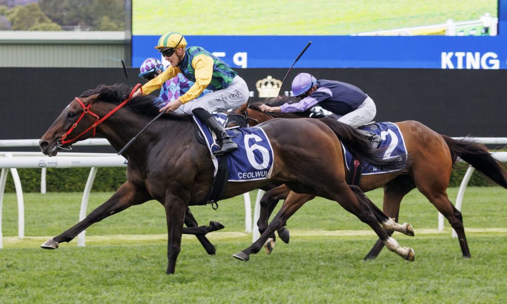 场无人不知 场无人不知